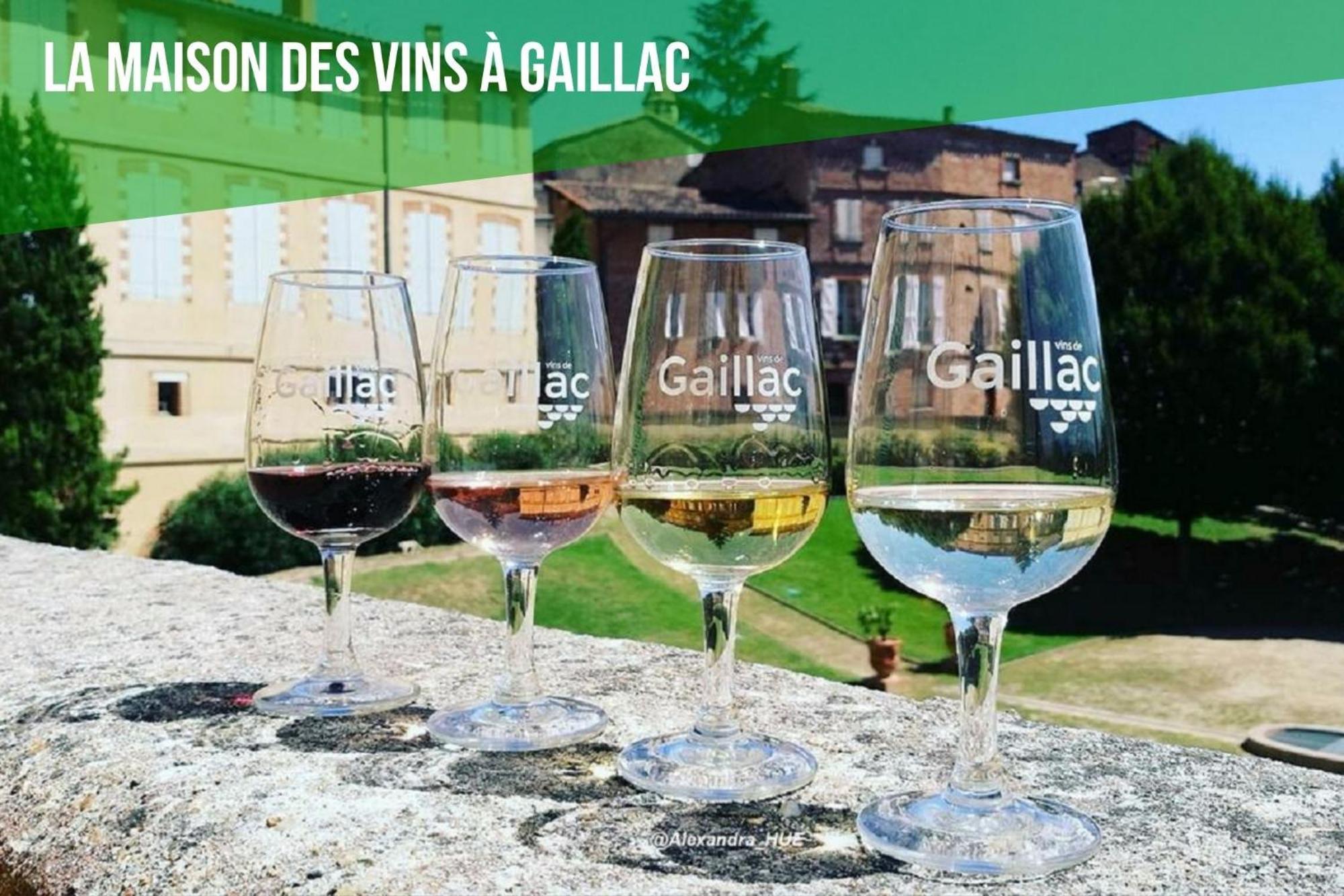 Le Cottage Nature Vigne Rouge Gaillac entre Albi / Toulouse Brens  Extérieur photo
